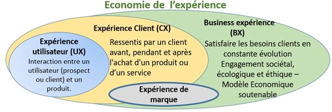 business expérience