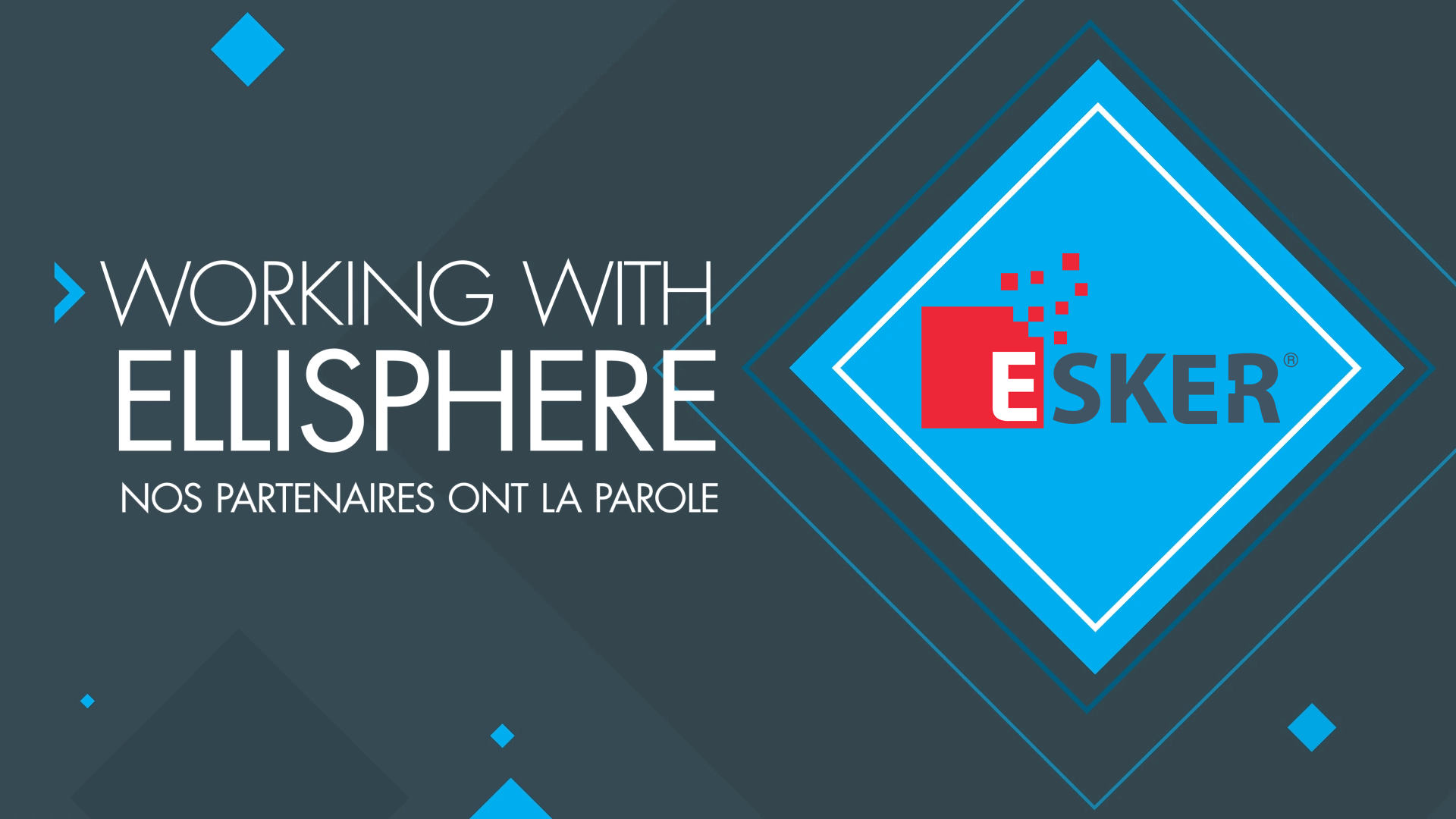Working with Ellisphere - Esker