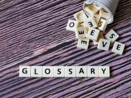 glossaire