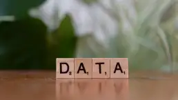 data profiling